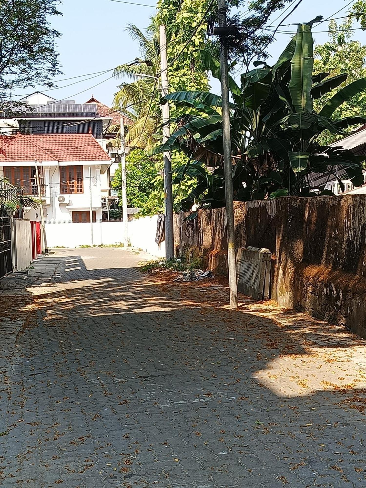 Homestay Elzas *