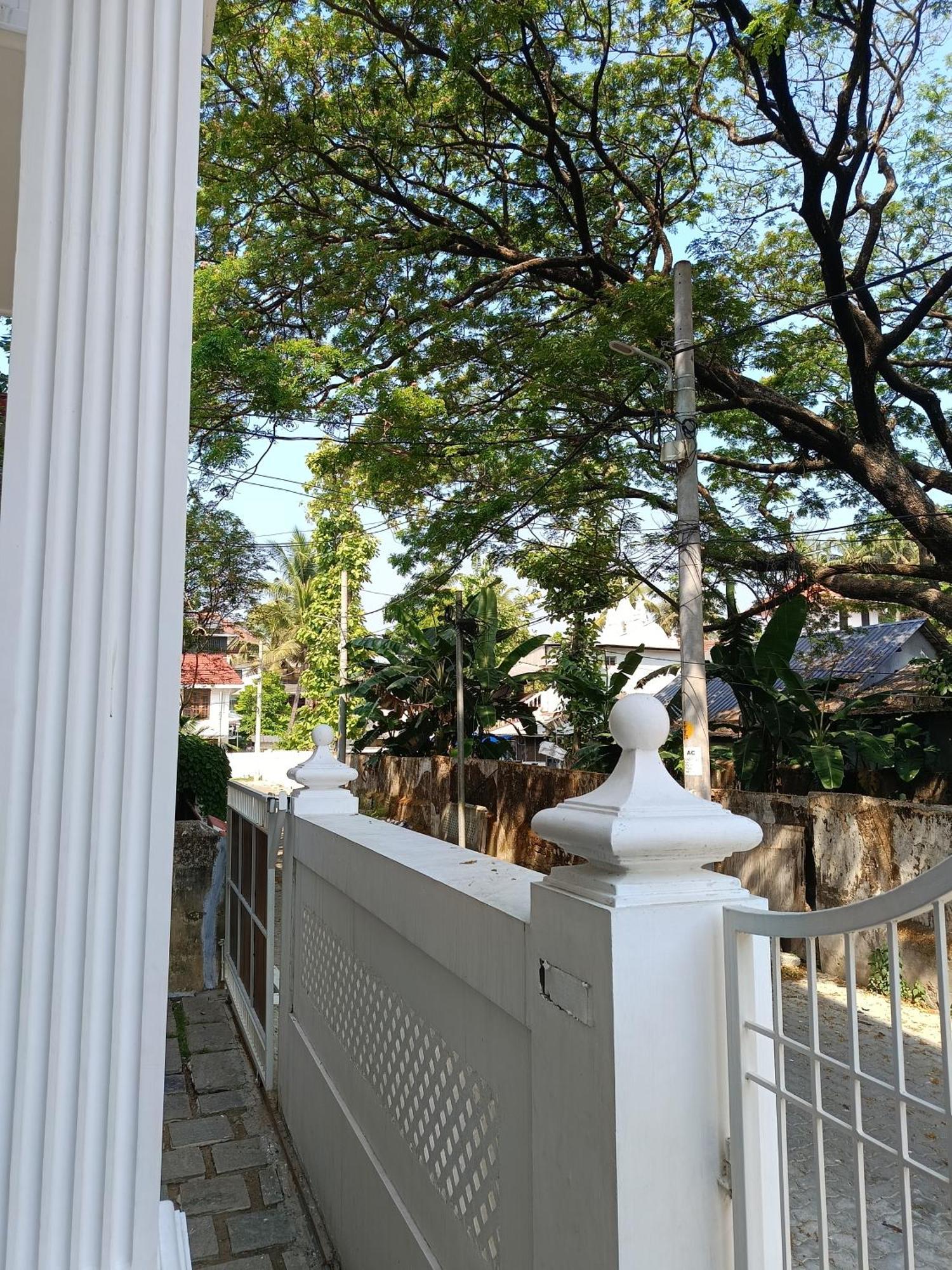 Elzas Kochi