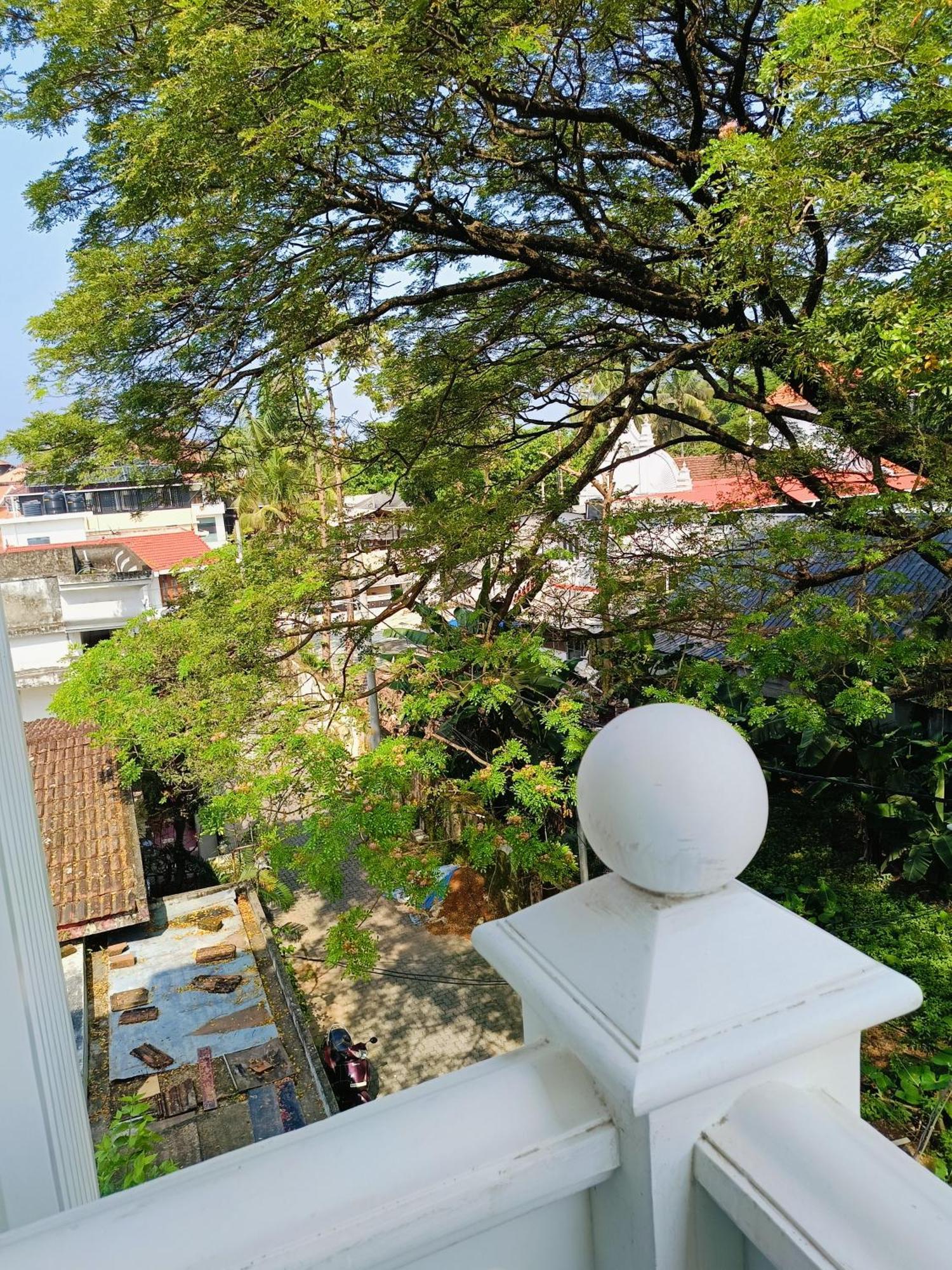 Elzas * Kochi